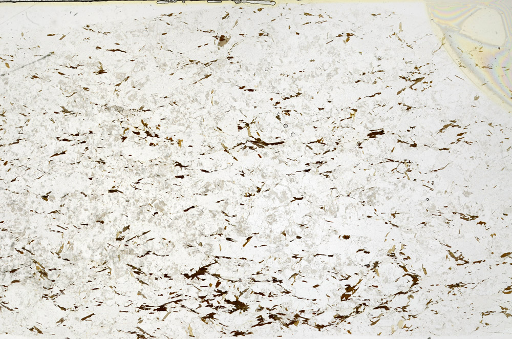 Plane Polarized, S79569