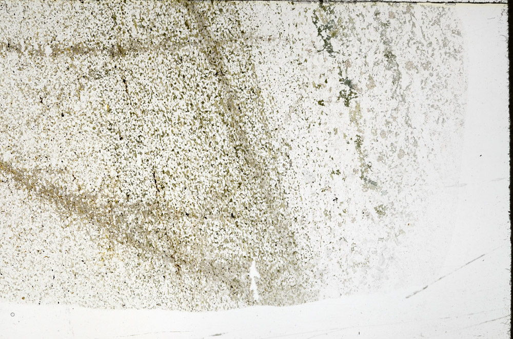 Plane Polarized, S79581