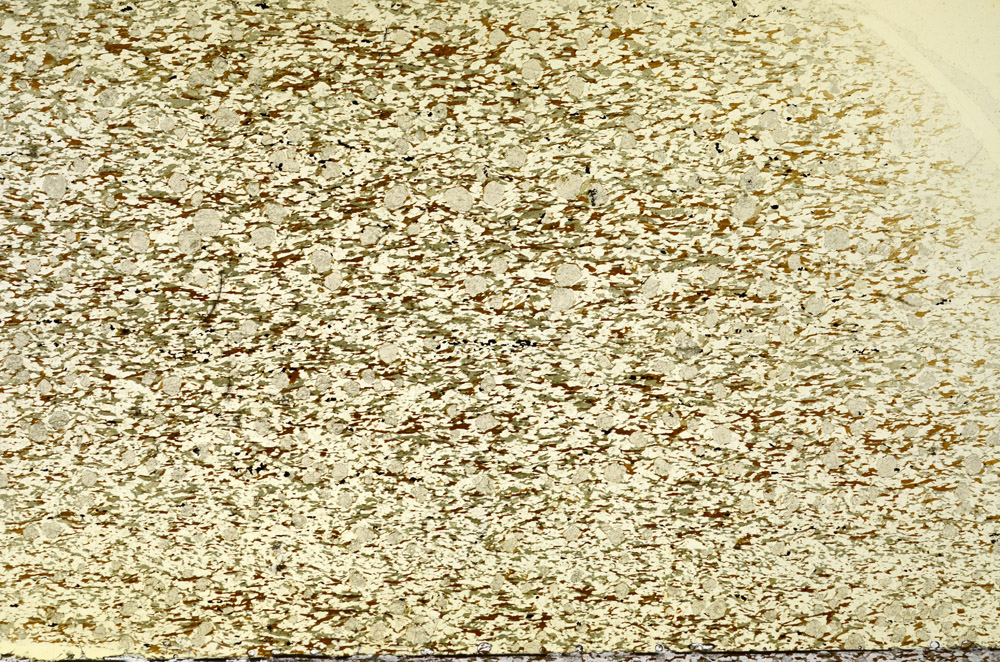 Plane Polarized, S79584