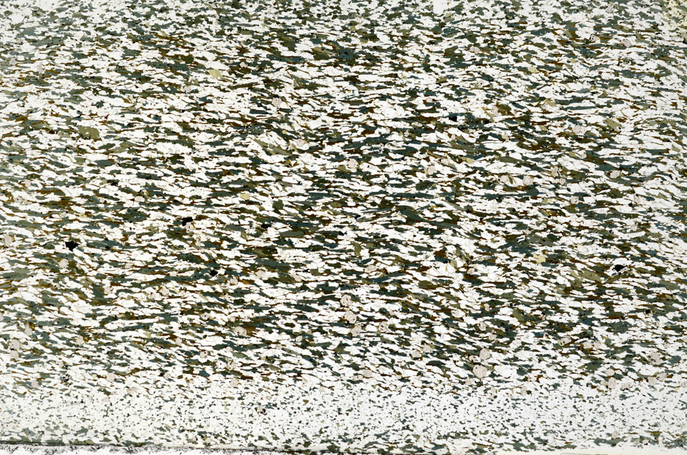 Plane Polarized, S79587