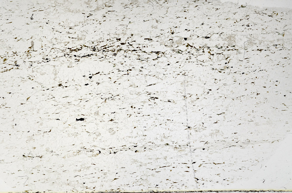 Plane Polarized, S79594