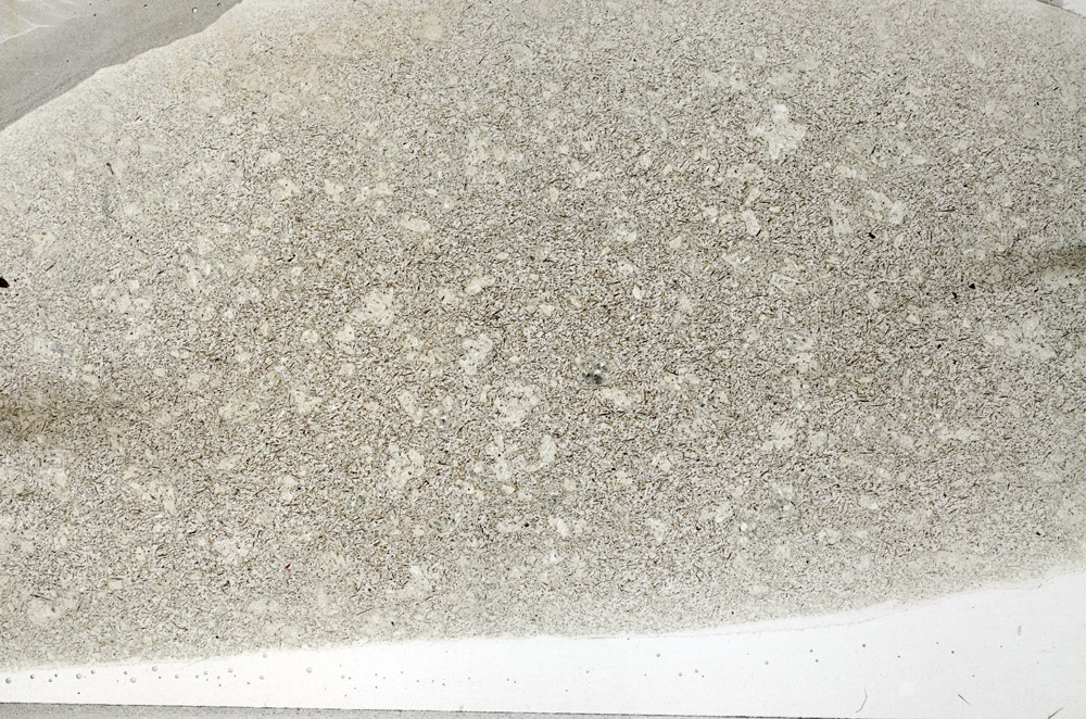 Plane Polarized, S79633