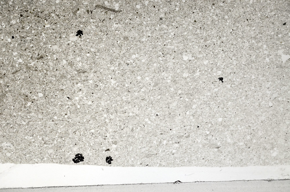 Plane Polarized, S79655