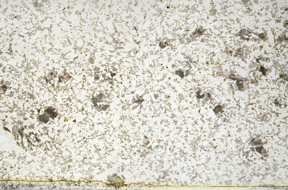 Plane Polarized, S79879