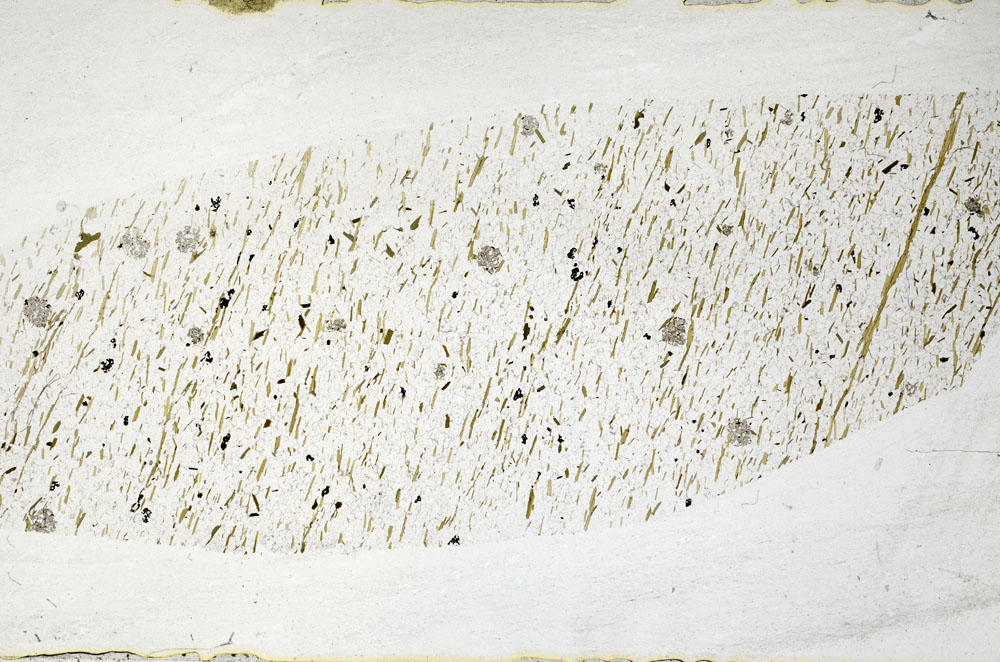 Plane Polarized, S80143