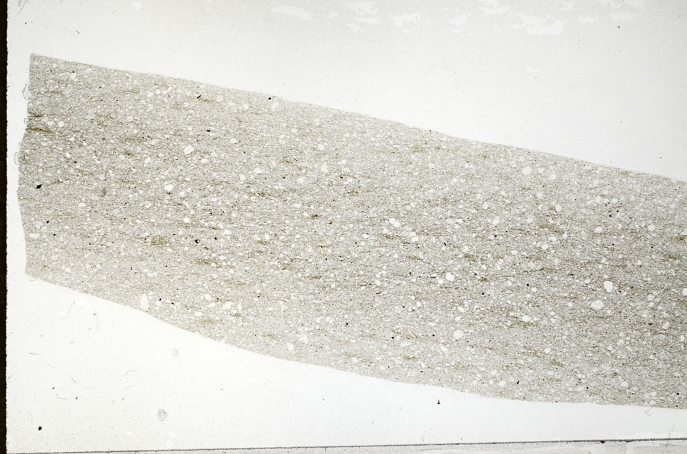 Plane Polarized, S80183