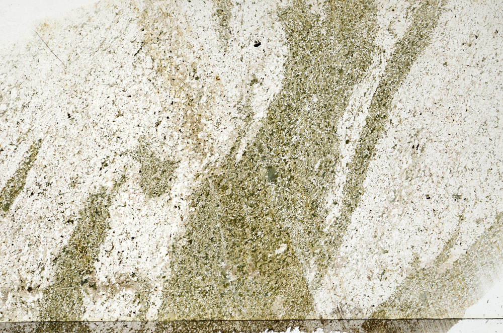 Plane Polarized, S80206