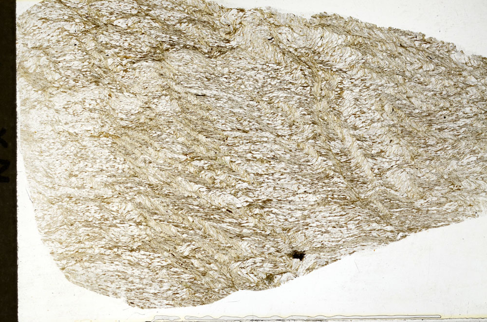 Plane Polarized, S80215