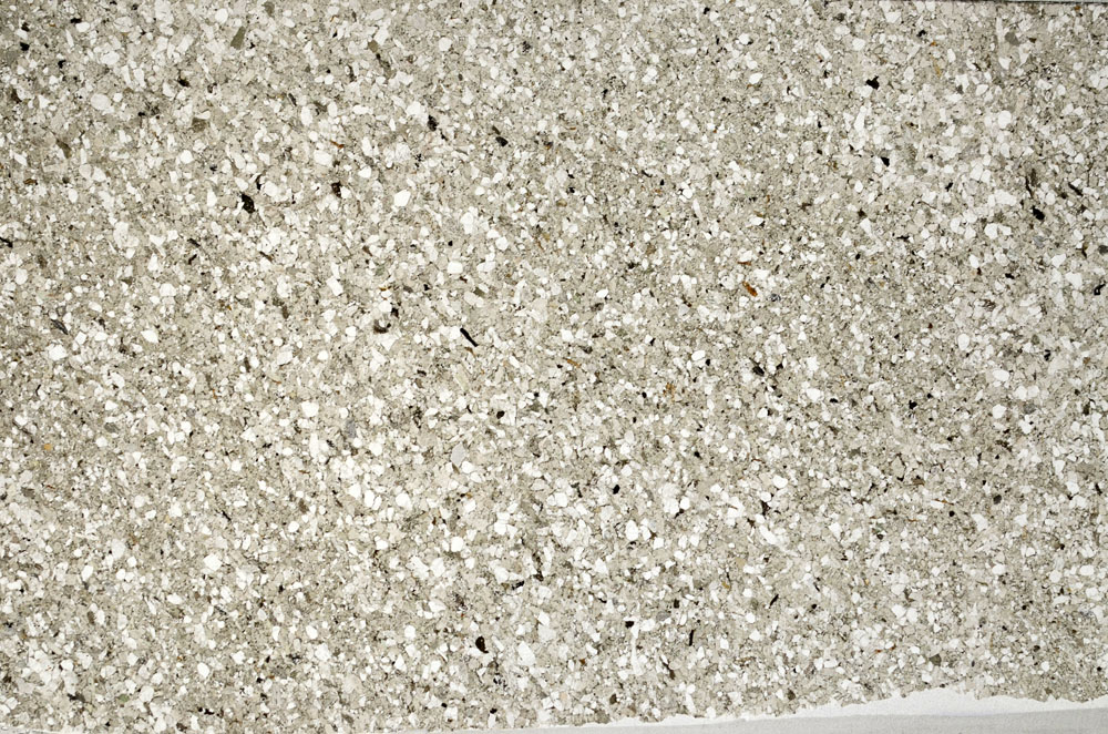 Plane Polarized, S80296