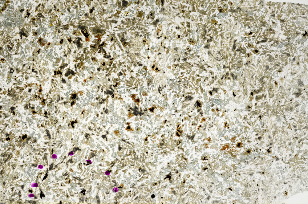 Plane Polarized, S80357