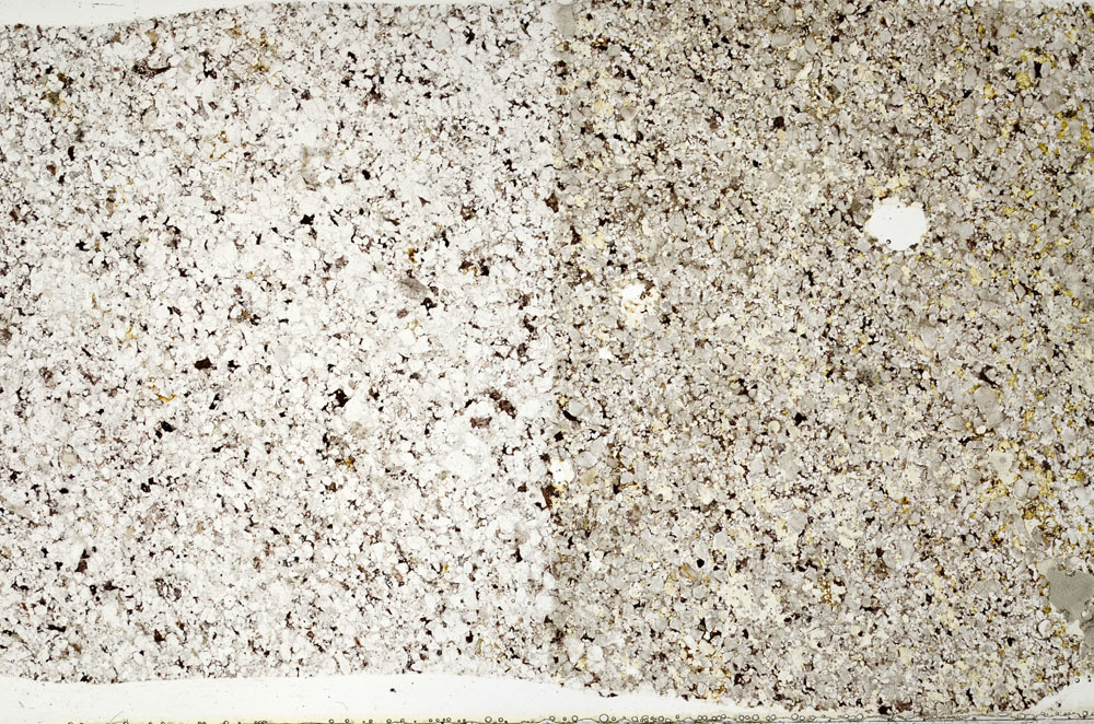 Plane Polarized, S80673