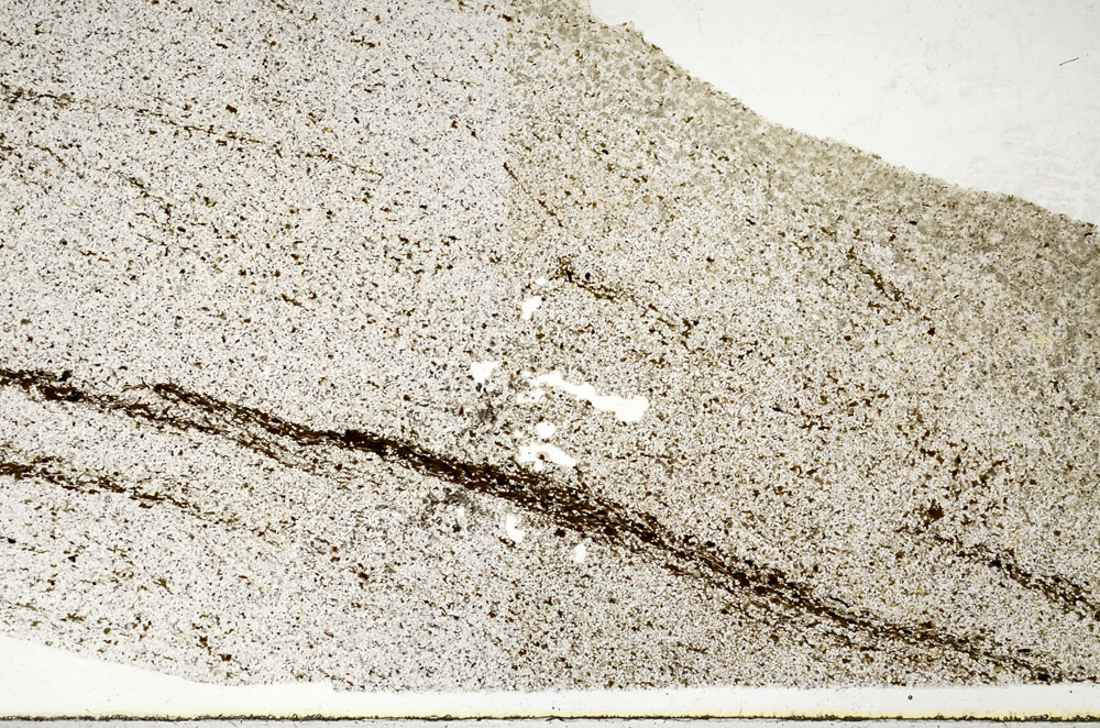 Plane Polarized, S80683