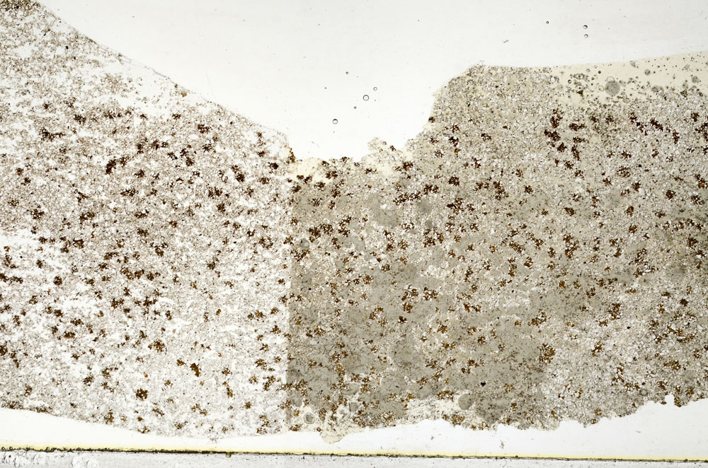 Plane Polarized, S80689