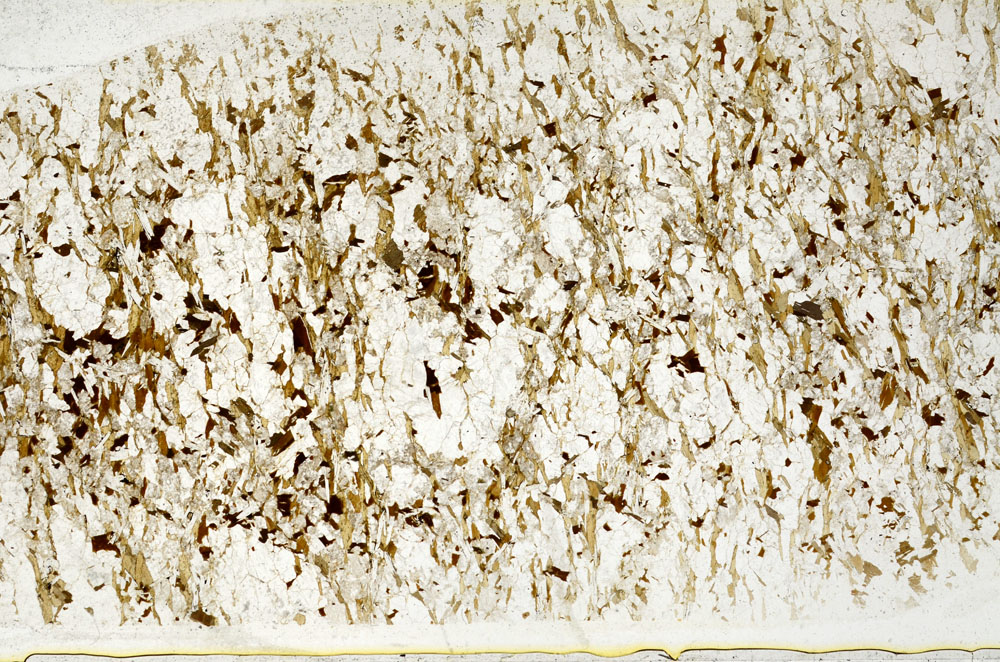 Plane Polarized, S80719