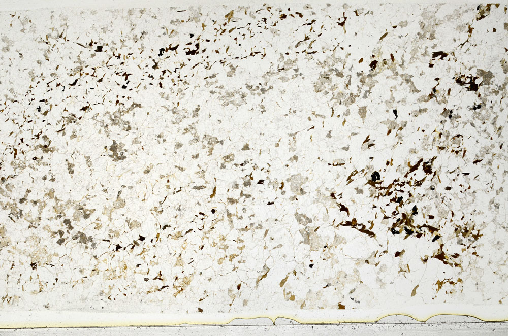 Plane Polarized, S80720