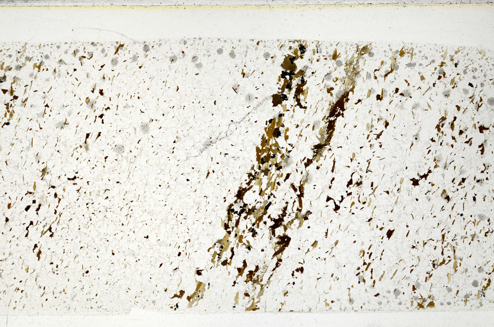 Plane Polarized, S80721