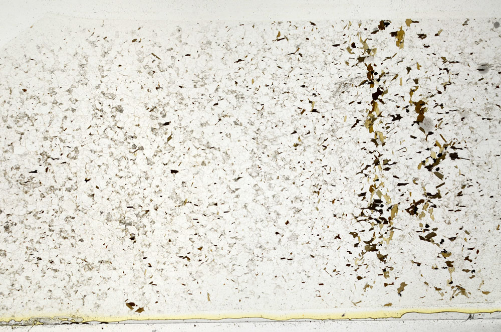 Plane Polarized, S80722