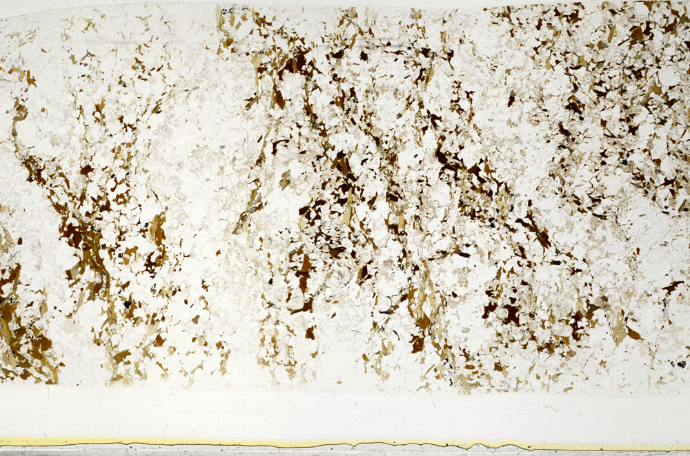 Plane Polarized, S80723