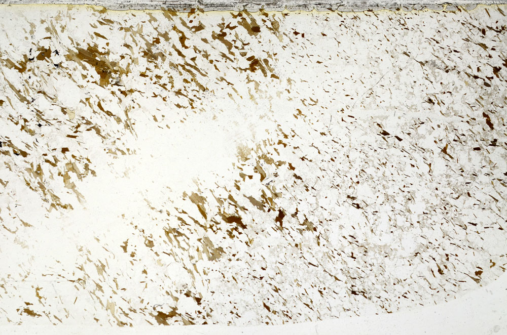 Plane Polarized, S80726