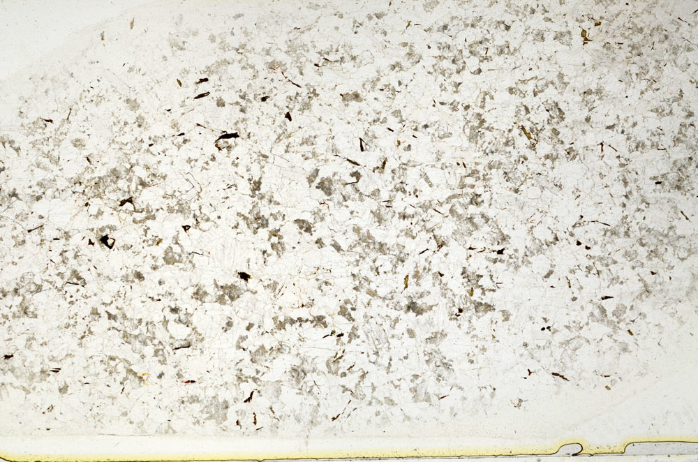 Plane Polarized, S80727