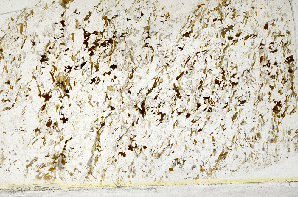 Plane Polarized, S80730