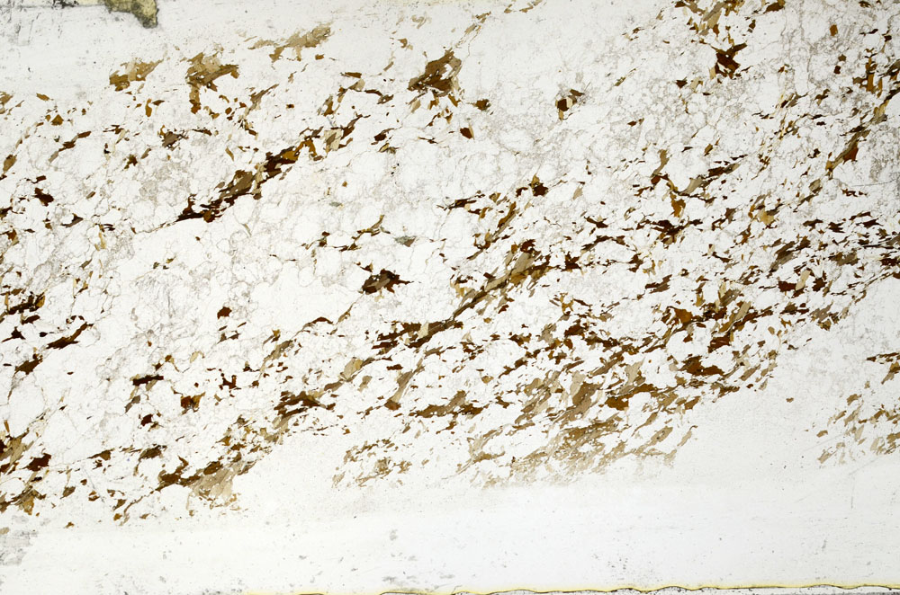 Plane Polarized, S80738