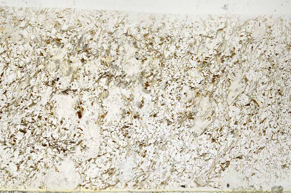 Plane Polarized, S80739