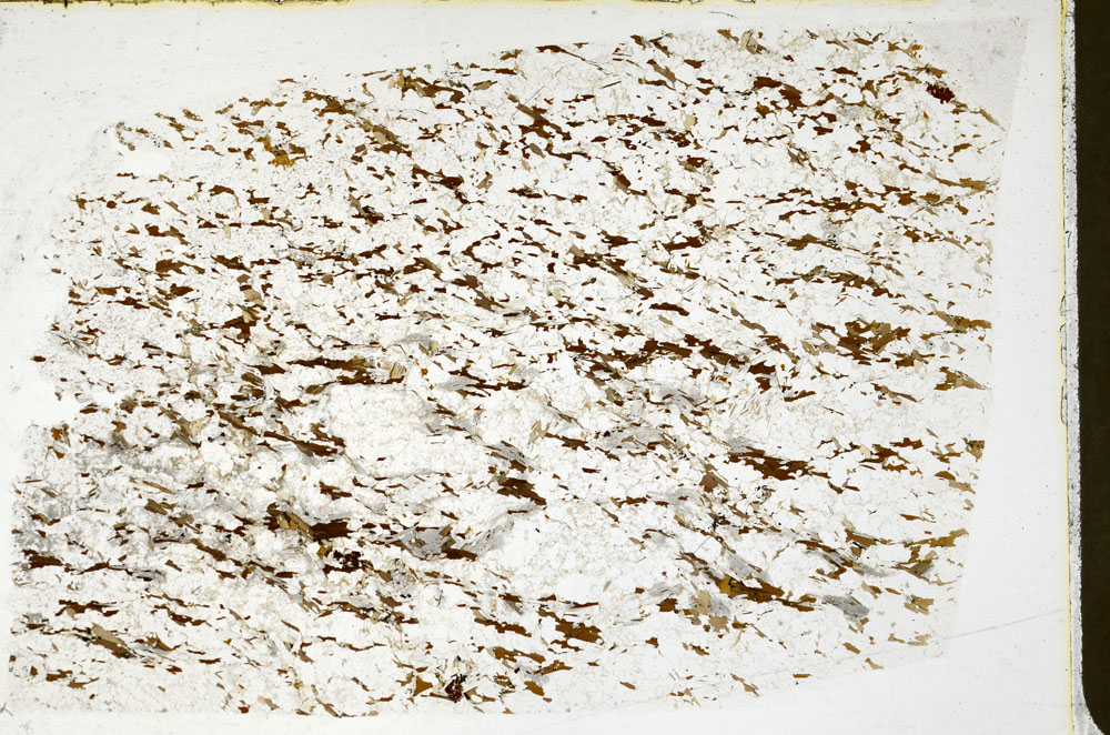 Plane Polarized, S80742