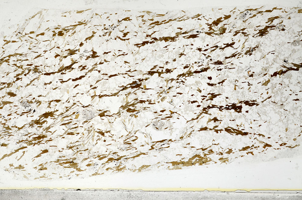 Plane Polarized, S80743