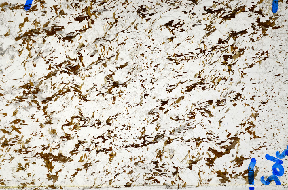 Plane Polarized, S80758