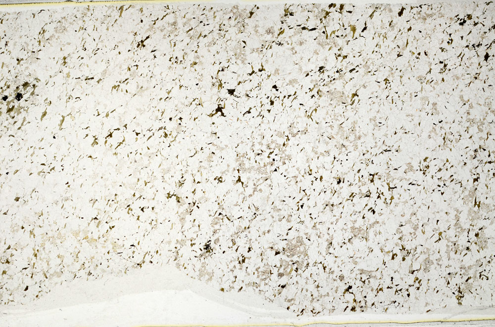 Plane Polarized, S80764