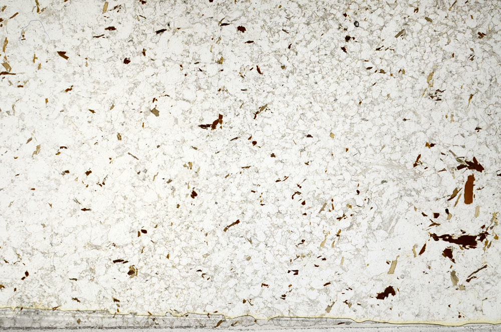 Plane Polarized, S80765