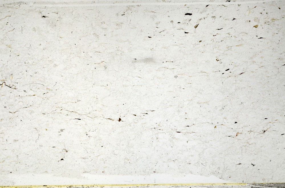 Plane Polarized, S80767