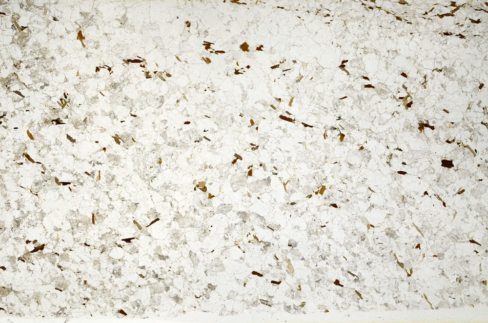 Plane Polarized, S80769