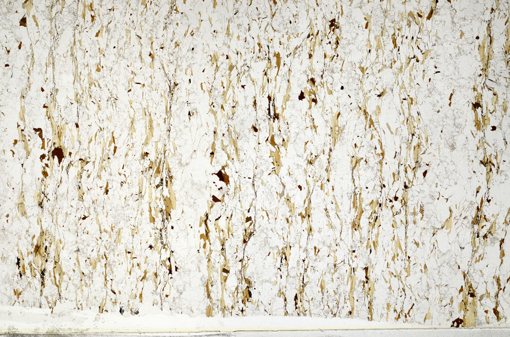 Plane Polarized, S80771