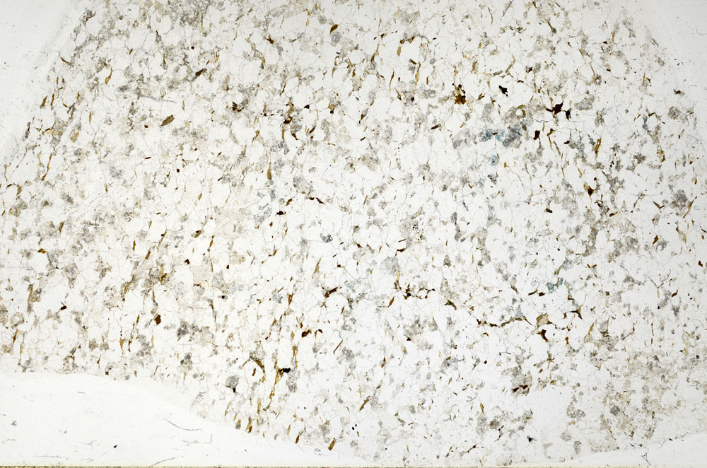 Plane Polarized, S80776