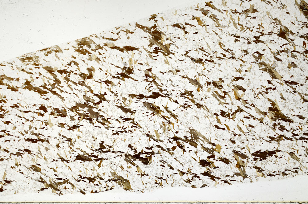 Plane Polarized, S80782