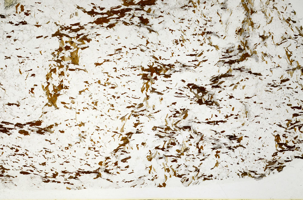 Plane Polarized, S80783