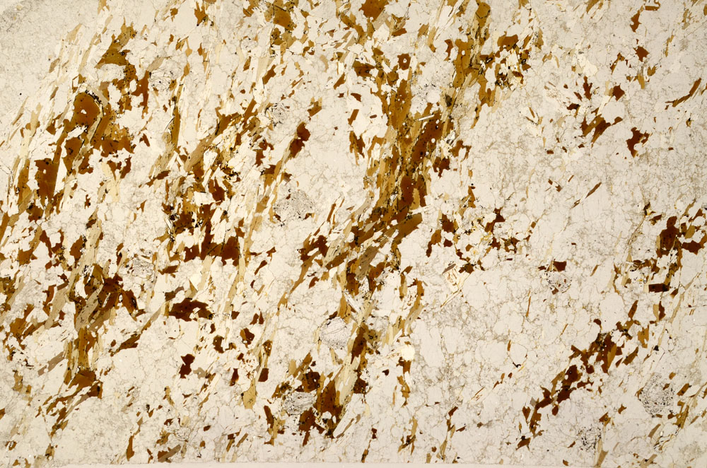 Plane Polarized, S80789