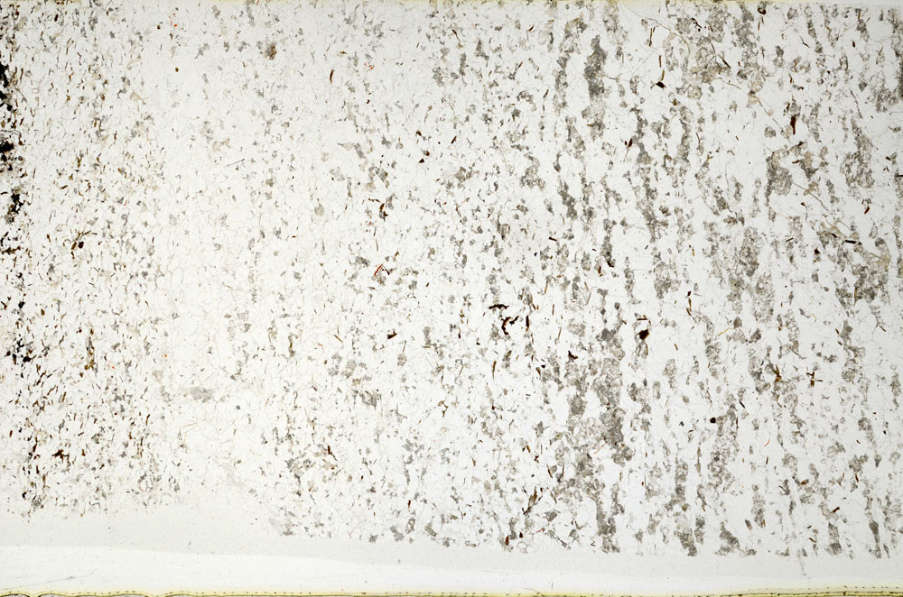 Plane Polarized, S80793