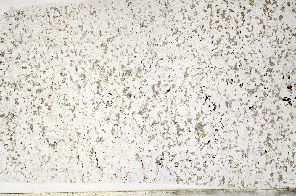 Plane Polarized, S80796