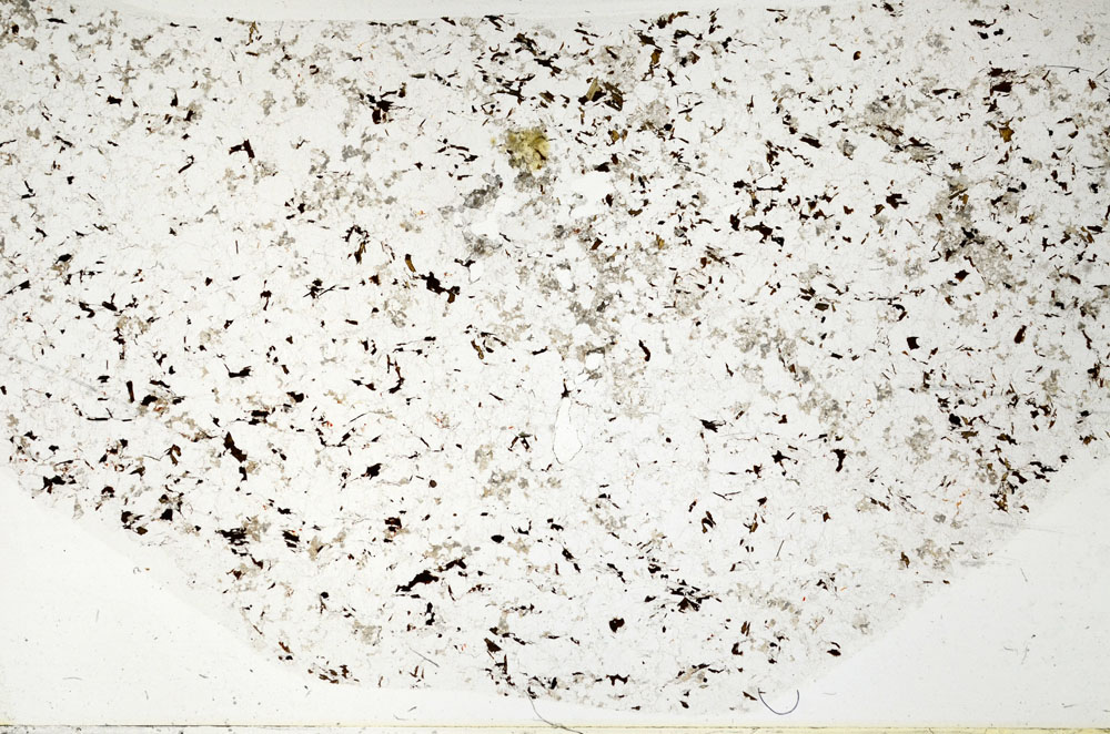 Plane Polarized, S80797