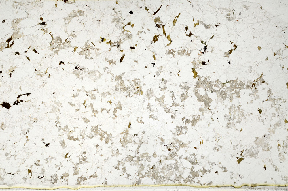 Plane Polarized, S80798