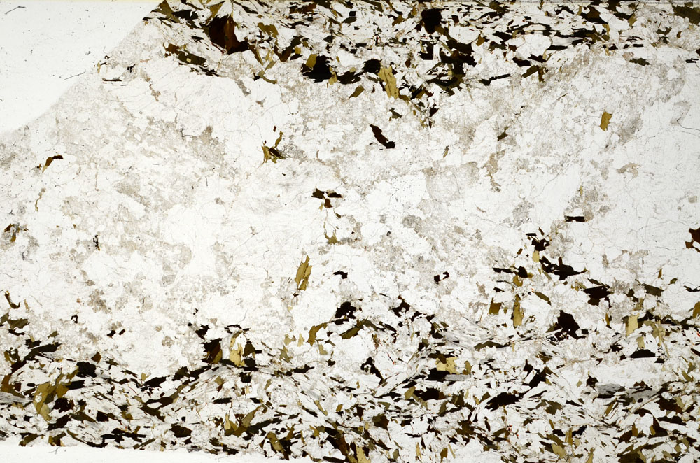 Plane Polarized, S80799