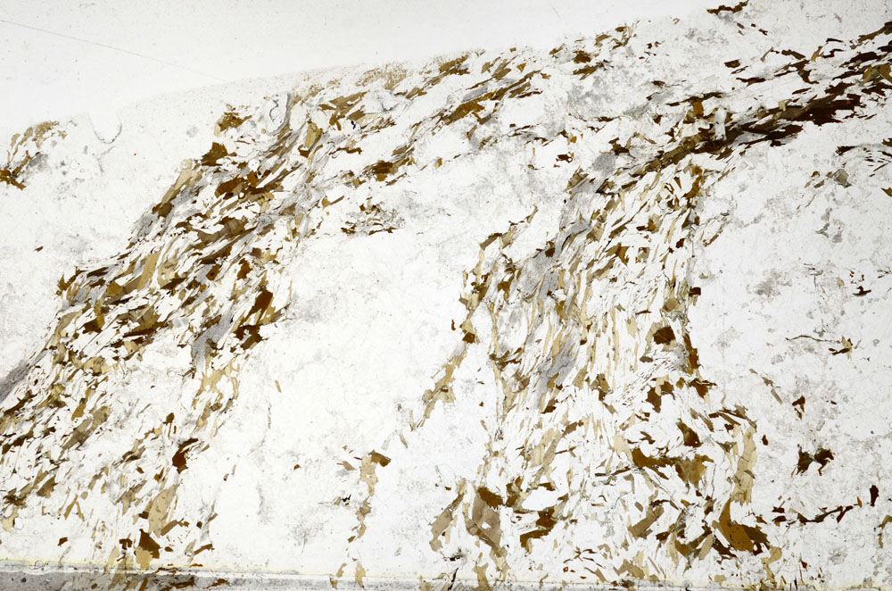 Plane Polarized, S80803