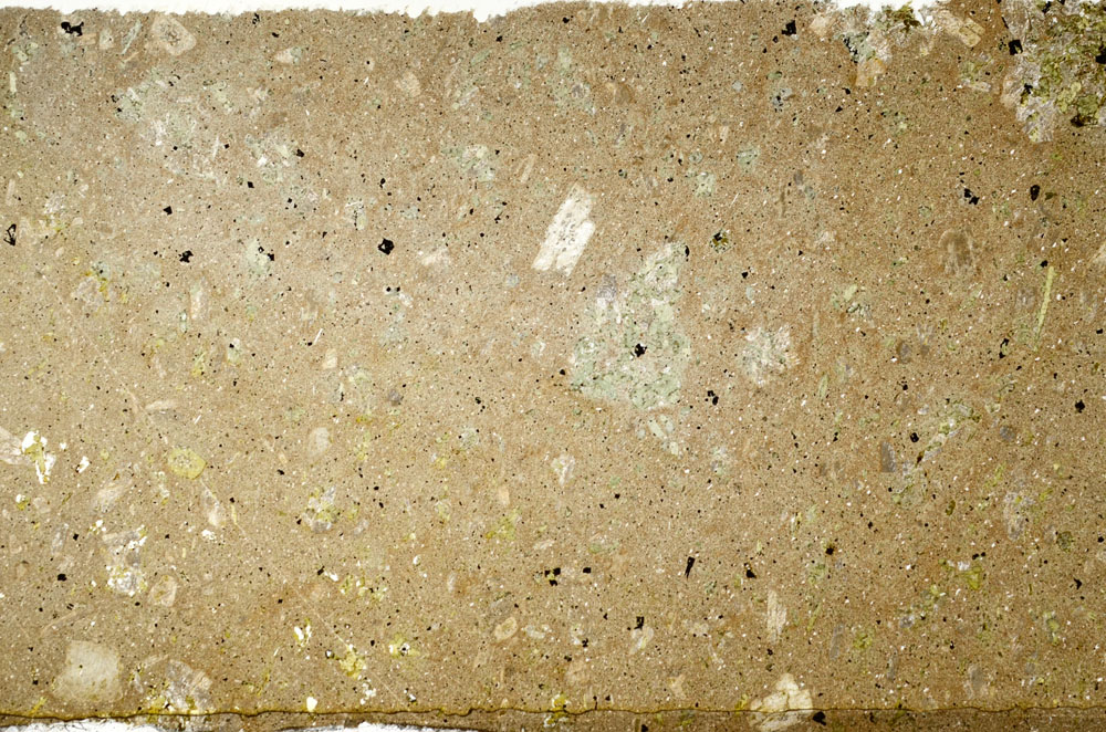 Plane Polarized, S80812