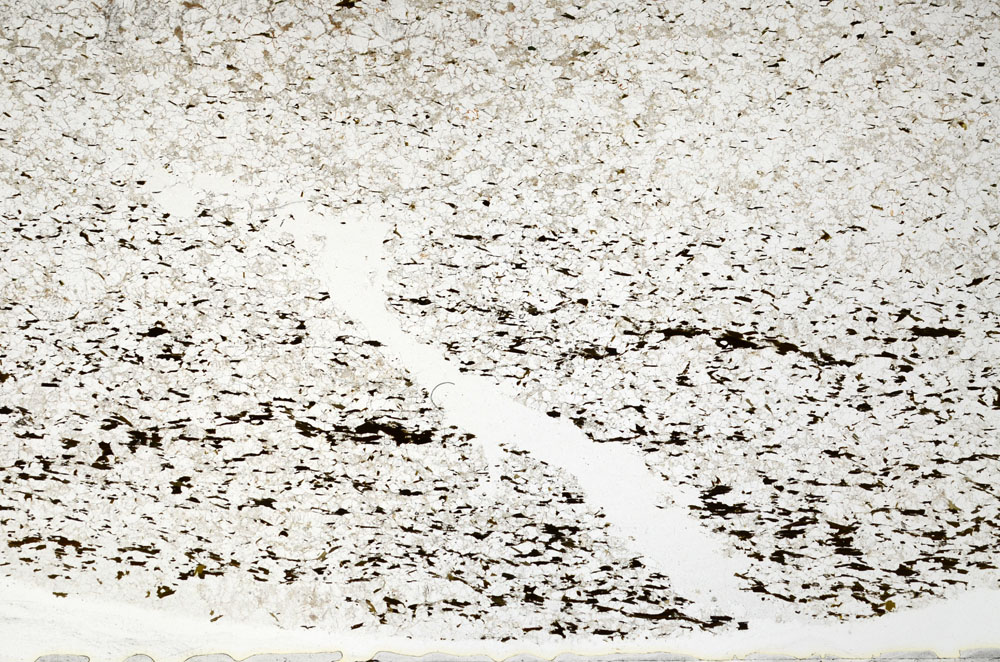 Plane Polarized, S80813