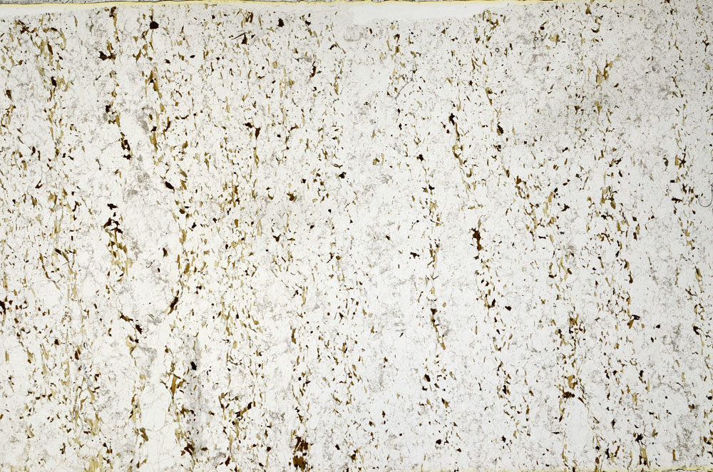 Plane Polarized, S80816