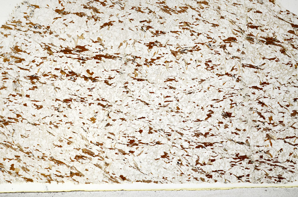 Plane Polarized, S80822