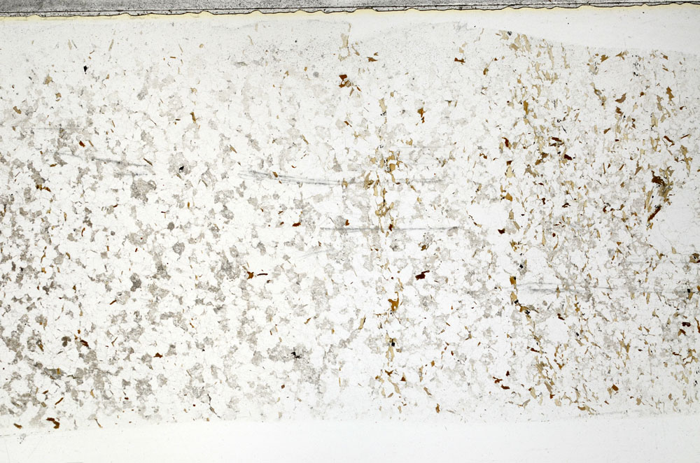 Plane Polarized, S80852